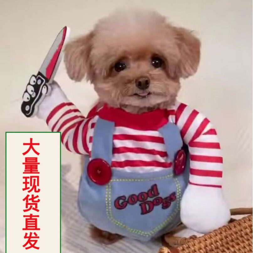 宠物狗狗衣服搞笑搞怪比熊网红狗