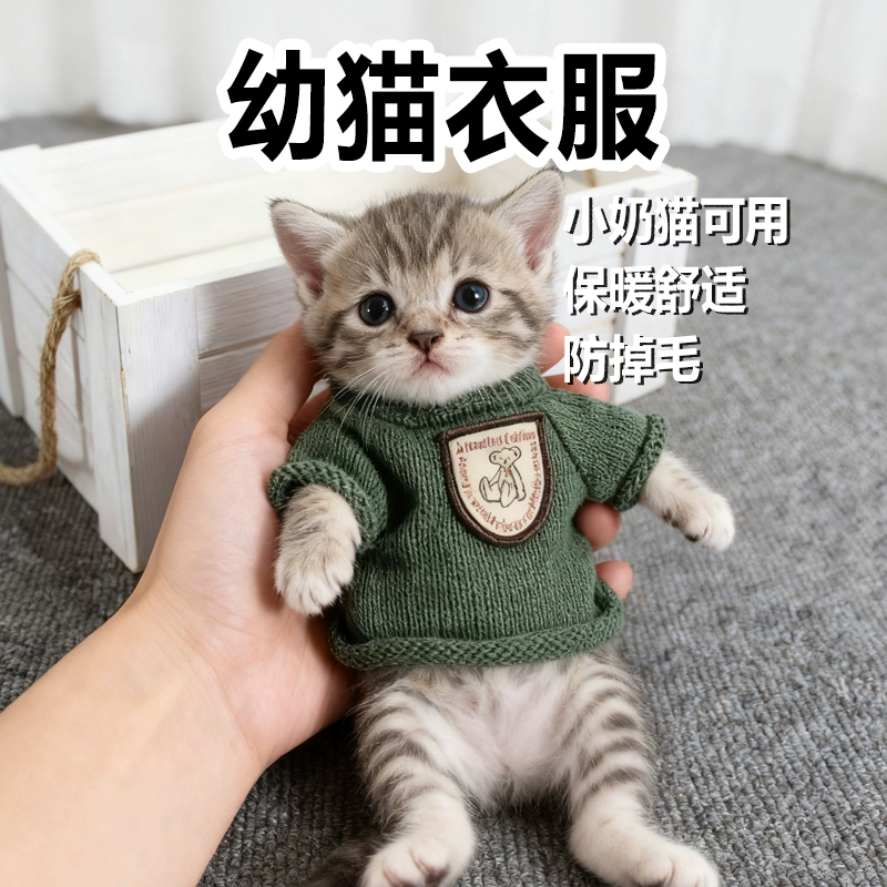 幼猫衣服特小超小一个月猫咪穿一