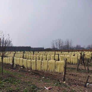 红薯粉丝皖北农家纯手工制作牛肉汤粉丝自然晾晒