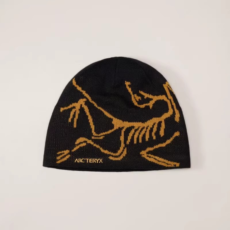 Arcteryx 始祖鸟 Bird Head Toque 男女同款 秋冬羊毛绒 毛线帽