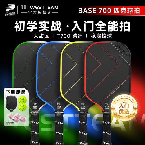 维斯蒂姆T700碳纤维入门匹克球拍