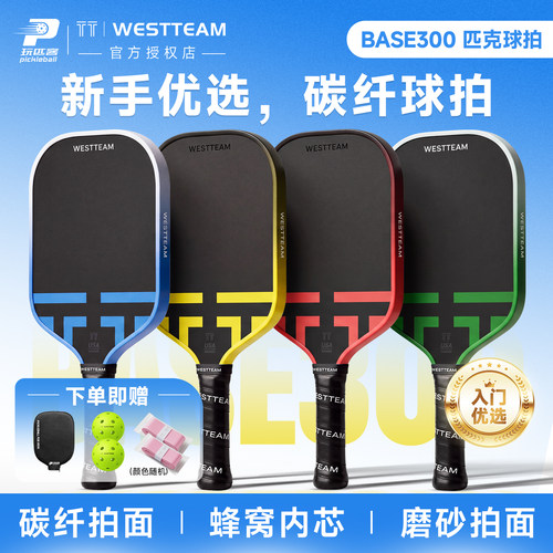TT-WESTTEAM碳纤维入门匹克球拍
