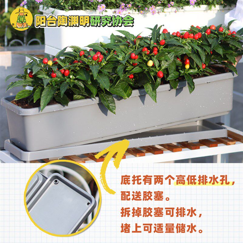 挂在栏杆上的花盆栏杆花架悬挂长条盆走廊栏O杆花盆种草莓阳台种