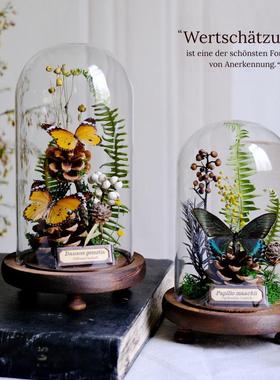 玻璃罩蝴蝶标本植物永生花干花摆件昆虫动物生态微景观礼物礼品