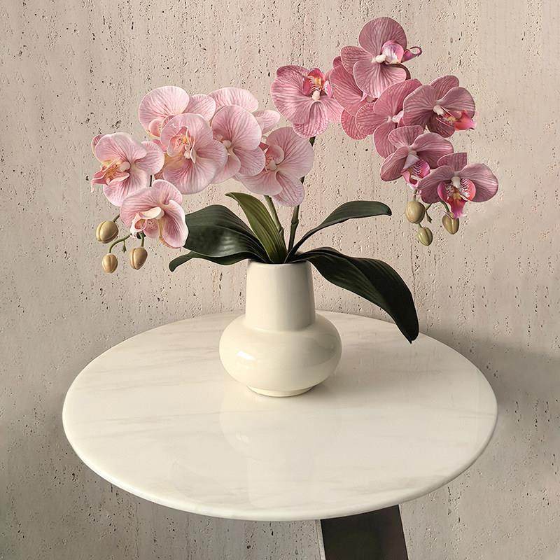 态生活 ins风高级感餐桌花艺客厅餐厅仿真保湿蝴蝶兰陶瓷花瓶摆设,家居饰品,餐桌花艺,淘宝优惠券,粉丝福利购,淘宝优惠卷