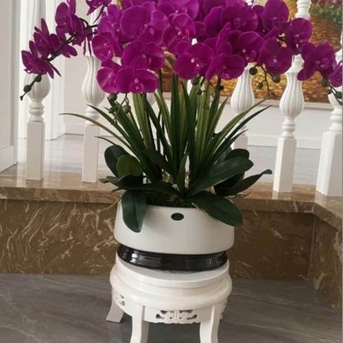 欧式白色实木花架客厅家用花台木质吊兰圆形落地盆景花盆鱼缸包邮