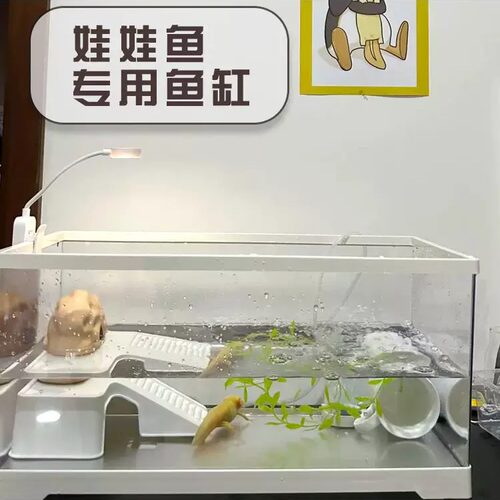 六角恐龙鱼缸龙娃娃鱼专用缸