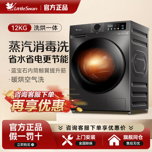Littleswan/小天鹅 TD120V098WDT