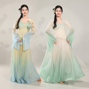 古典舞蹈服仙气纱衣飘逸大摆裙中国舞民族舞艺考剧目演出练功服装