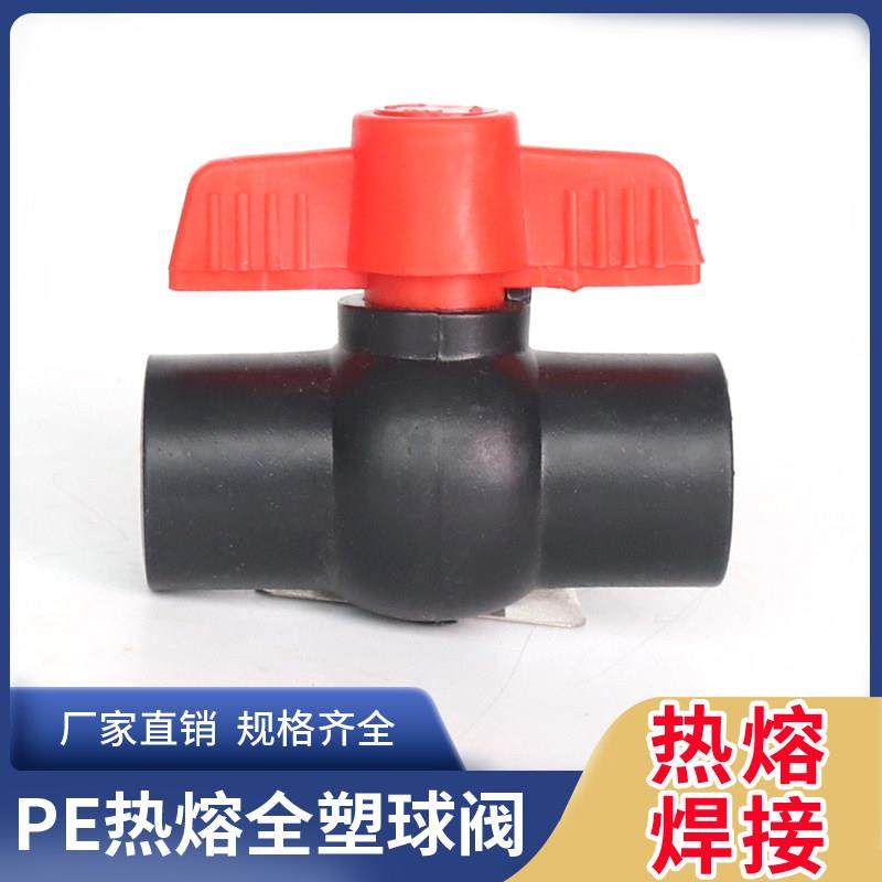 pe给水管 热熔全塑阀门 焊接开关球阀pe管件pe管接头自来水管配件