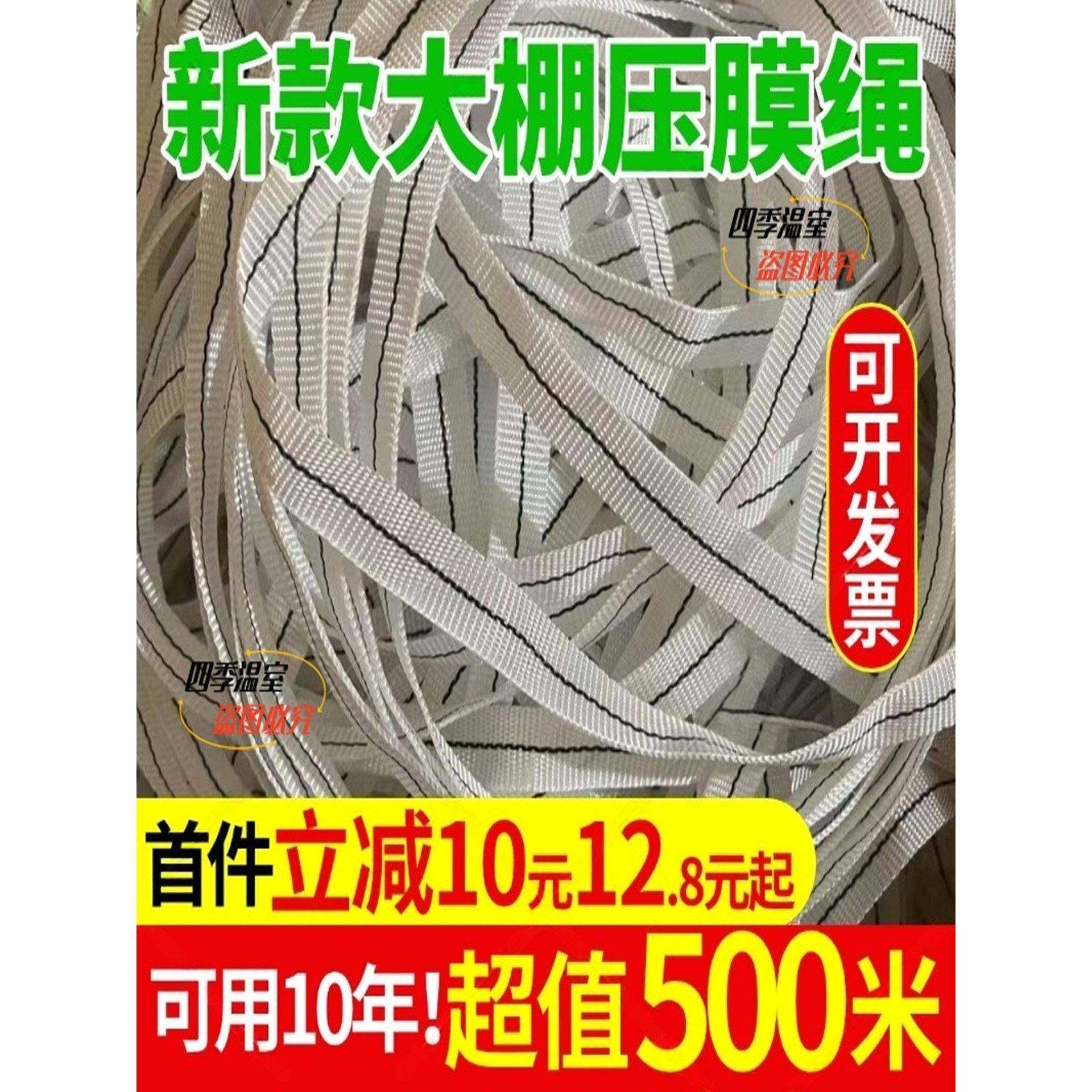 大棚压膜带压膜绳压膜线高强度涤纶丝白色抗老化温室配件专用加厚,农机/农具/农膜,大棚压膜绳/压膜线,淘宝优惠券,粉丝福利购,淘宝优惠卷