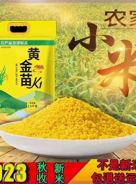 占泉2023年黄金苗K1辽宁朝阳小米南瓜粥小米发糕营养美味5斤袋装