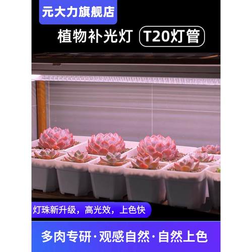 元大力 植物补光灯led多肉仿太阳光上色热植全光谱植物生长灯