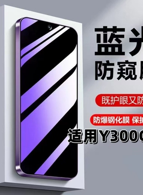 适用vivoY300GT钢化膜y300gt防窥膜V2452GA抗蓝光护眼防偷窥5G黑边防偷看保护隐私手机膜Y300GT防摔防爆贴膜