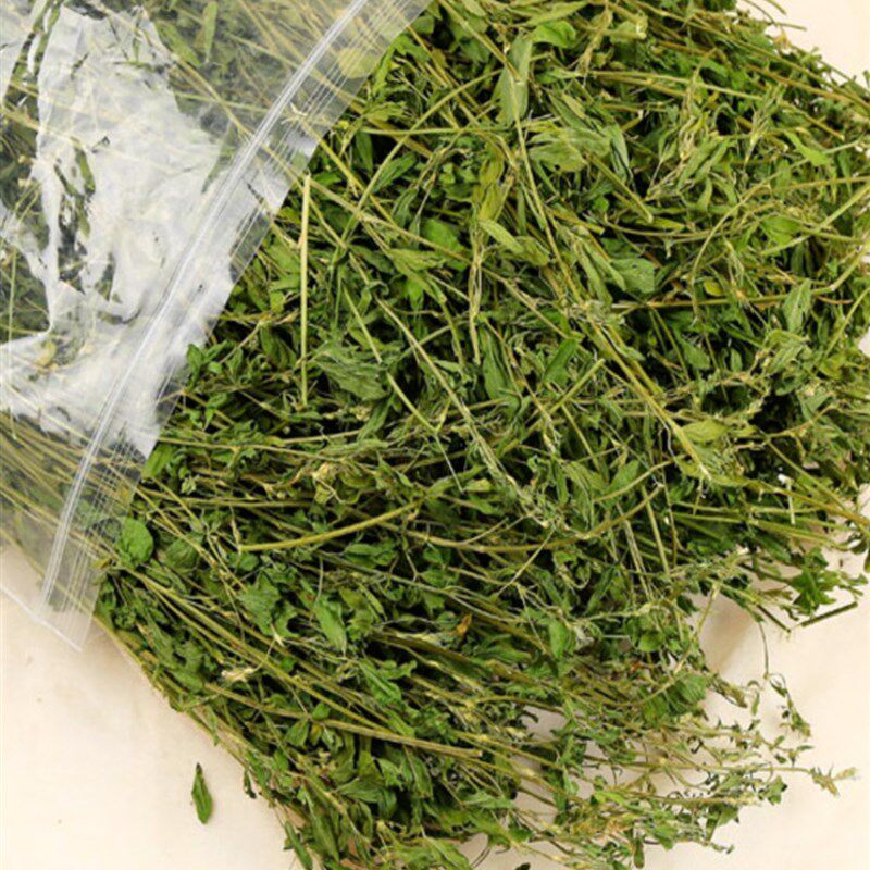 现货速发紫花苜蓿草兔粮饲料兔子食用草粮豚鼠猪幼兔草干草新牧草