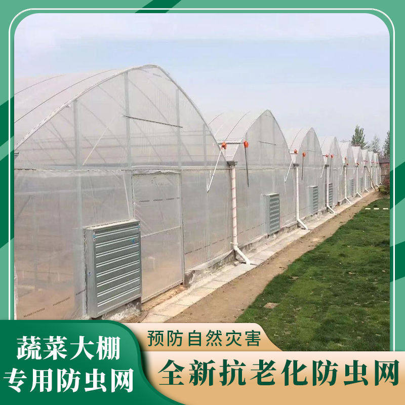 现货速发防虫网大棚蔬菜养猪场防蚊蝇晾晒网果树园防白粉蝨防鸟农
