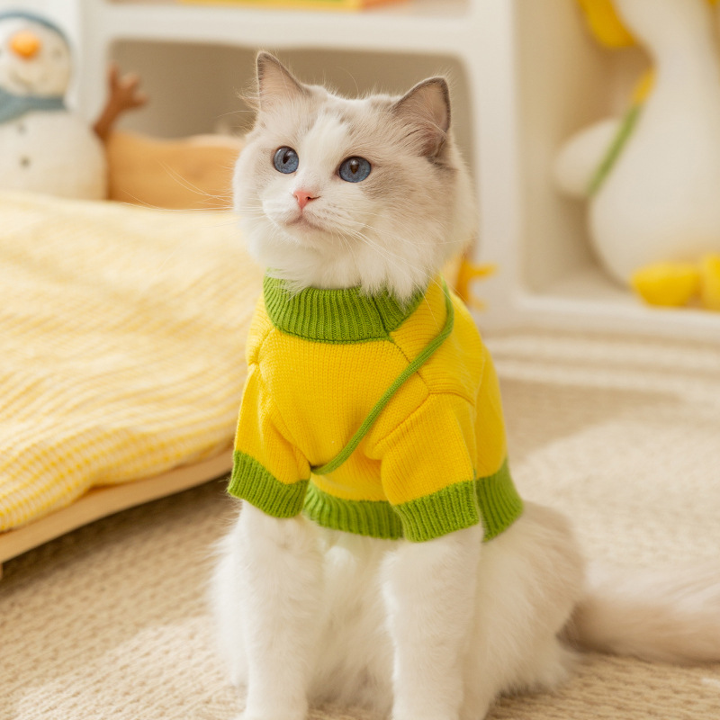 秋冬季保暖猫咪可爱针织挎包无毛猫毛衣狗狗泰迪比熊服装宠物衣服