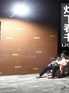 太晚能灯户外庭院灯太阳能灯充电两用路灯工程家庭版感应带开关