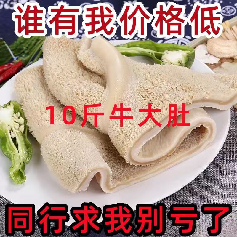 新鲜熟牛肚黄牛肚整个大块麻辣烫商用火锅半成品牛杂串串涮锅顺丰