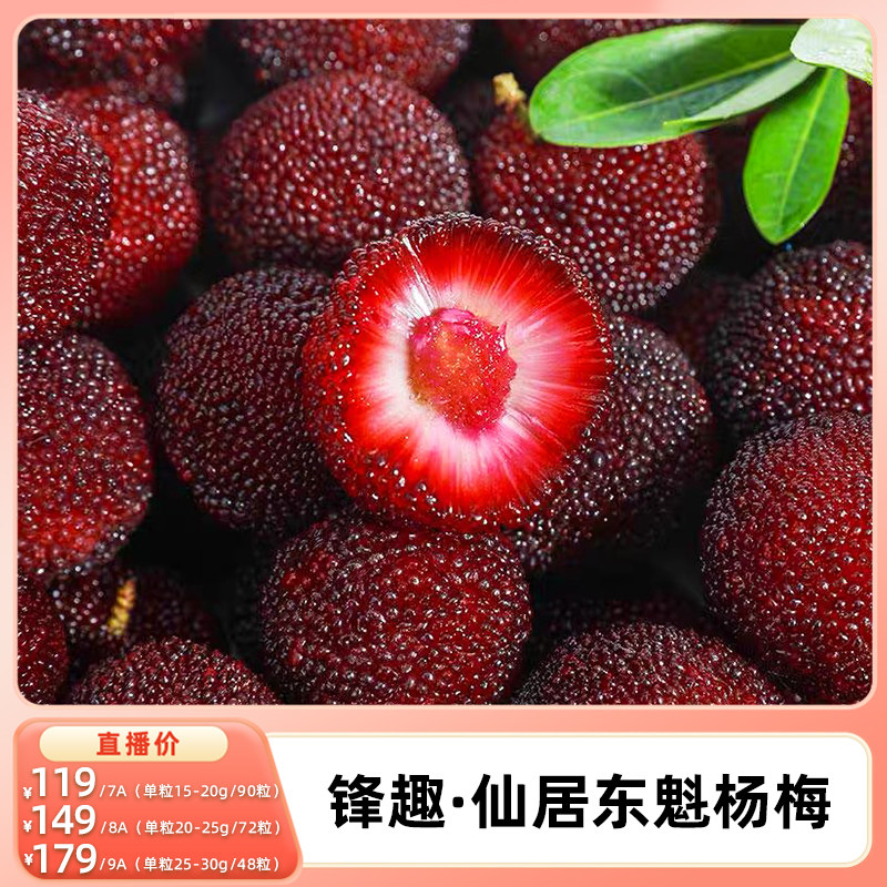 【k姐推荐】正宗仙居东魁杨梅新鲜现摘大杨梅浙江水果