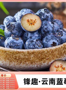 【k姐推荐】锋趣云南高原L25花香蓝莓高端当季孕妇水果脆甜