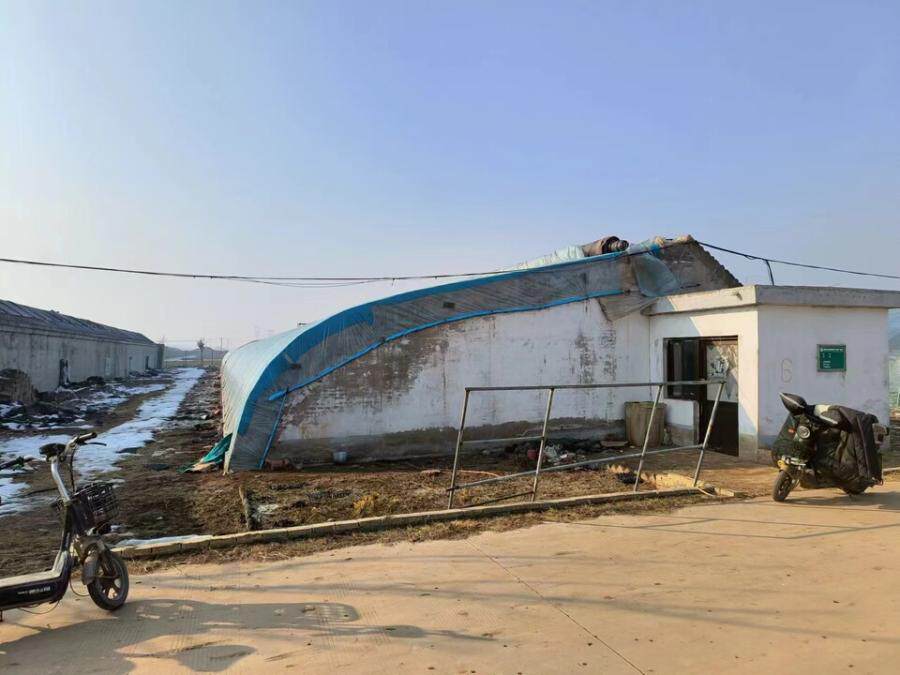 3月30日邯郸科技开发公司温室大棚、玻璃温室、钢结构仓库等全部设施网络拍卖公告