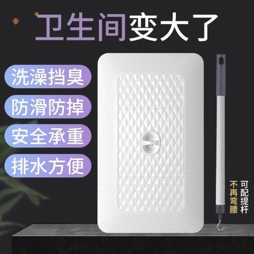 蹲便器盖板厕所密封盖防臭堵臭器