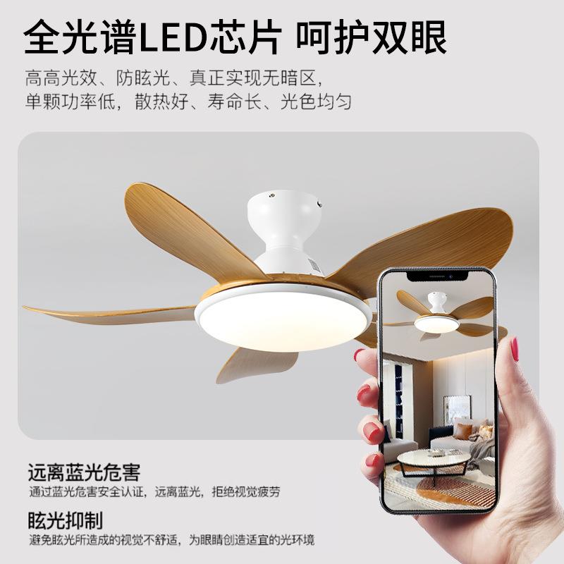 新款北欧餐厅风扇灯家用吊静音客厅扇灯一扇体带灯风扇HC2192吊灯