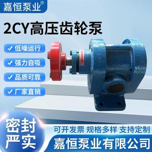 2.5齿轮油泵渣油泵自吸泵头 2.53 高温齿轮泵2CY1.08 2.52.1