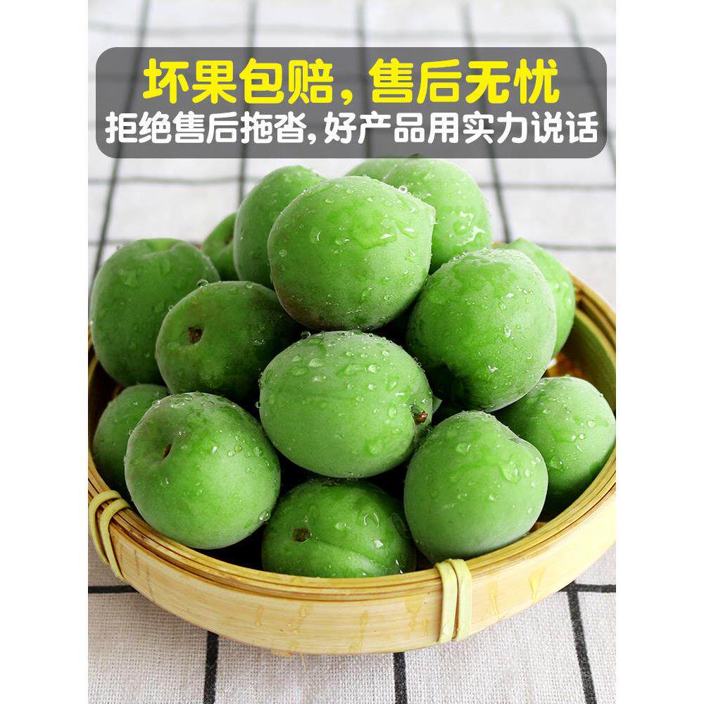 福建青梅鲜果现摘青梅露汁泡酒酸脆梅酵素5斤野生鲜梅子酸梅水果