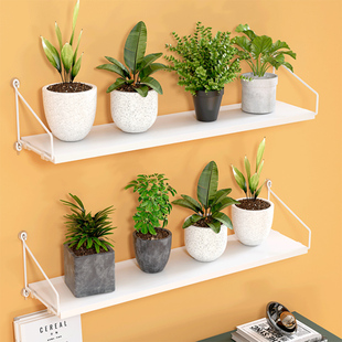 墙上花架壁挂式室内挂墙花架子挂式的阳台免打孔挂在墙壁置物架