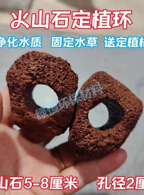 水草定植环大孔径红色鱼虾躲避洞水草沉底固定种植精品火山石定植