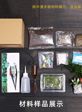 18切儿童种植小盆栽dity鲜活植物苔藓微景观材料包生态瓶创意套装