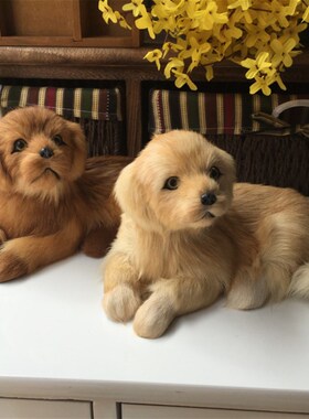 仿真动物狗狗模型摆件真皮金毛犬模型家居工O艺装饰品儿童摄影道