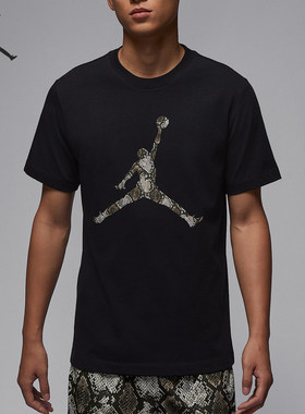 Nike/耐克正品JORDAN 男士针织时尚透气休闲T恤HJ2863-011