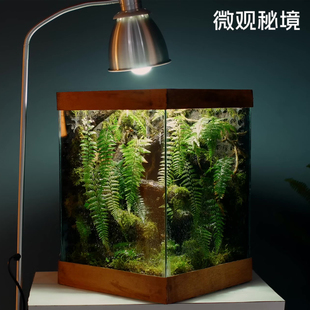 雨林苔藓生态缸免打理自循环流水桌面绿植微景观懒人家用创意礼物