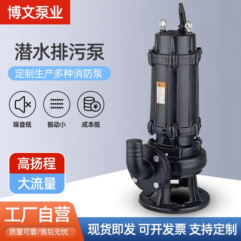 潜水排污泵 地下排污泵工程项目污水提升泵法兰接口 无堵塞潜污泵