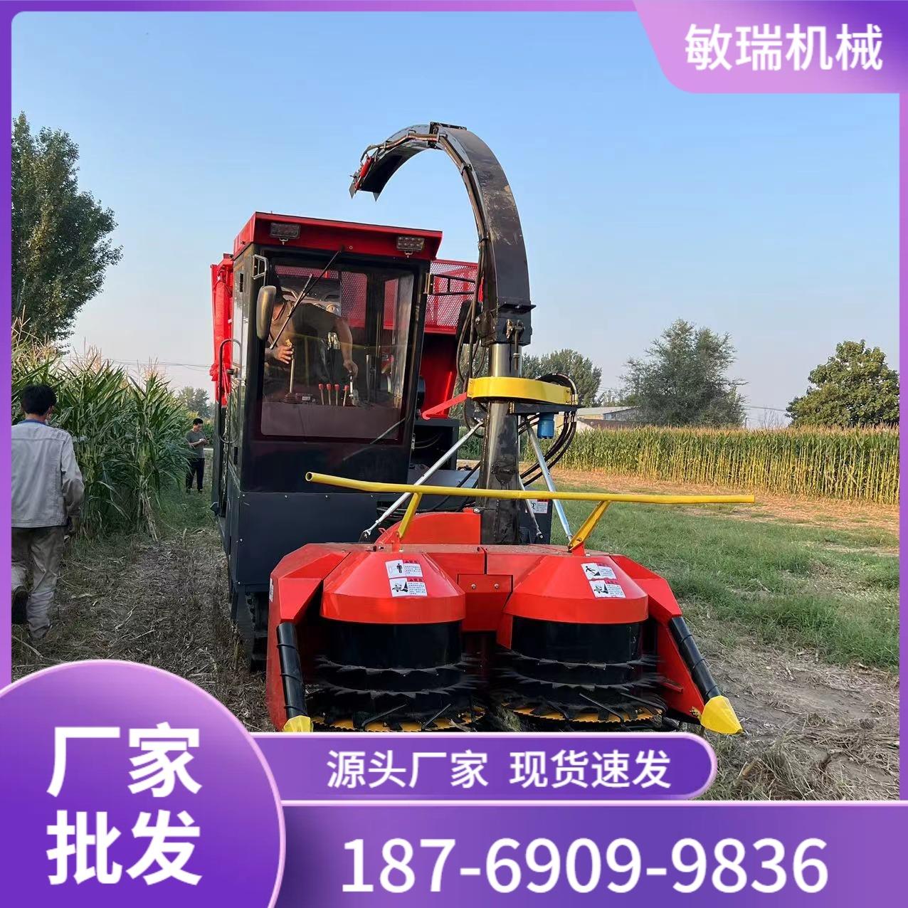 牧草秸秆收割青贮机出售全自动自走式履带圆盘秸秆收割青储机