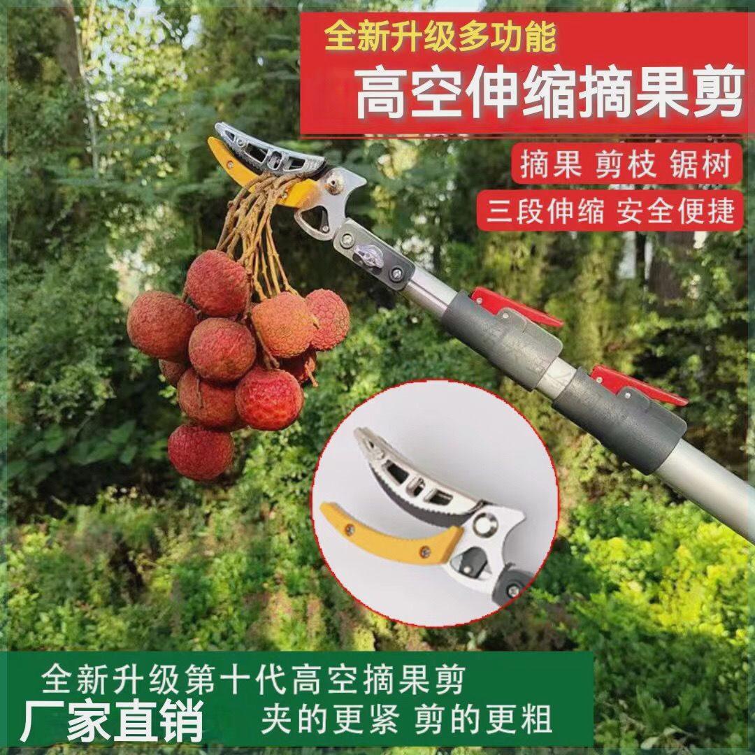 进口多功能加长杆高空剪树枝剪修枝剪龙眼橘子枇杷荔枝高空摘果器