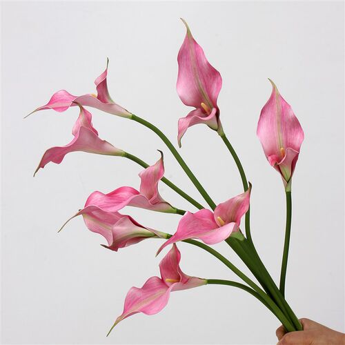 高级感暗紫色双头马蹄莲假花海芋花仿真I花家居摆件样板房装饰婚