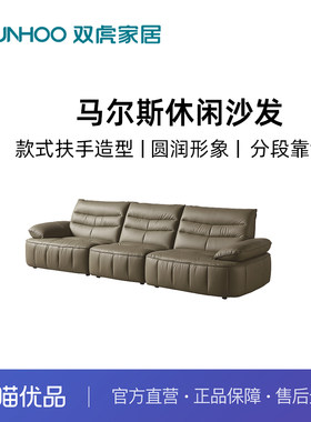 Sunhoo/双虎ZQ-B2461布沙发家用客厅小户型布艺沙发
