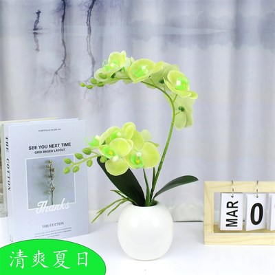 速发蝴蝶兰假花套装桌面装饰花家居电视柜摆放花小盆景桌面小盆栽