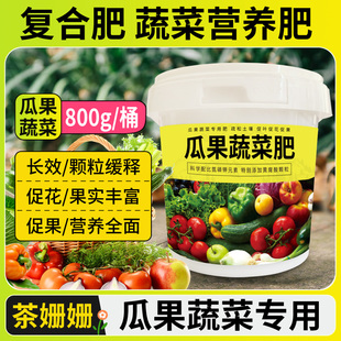 速发蔬菜营养肥复合肥蔬菜果用种专肥料蔬菜用肥有机肥瓜农蔬菜菜