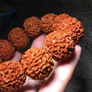 速发印尼同树籽菩提手串金刚菩提子6瓣7瓣8瓣菩提瓣红皮男款佛珠