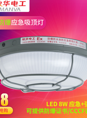 敏华电工防水防爆8W圆形消防应急三防吸顶井道壁灯IP65室外M3021