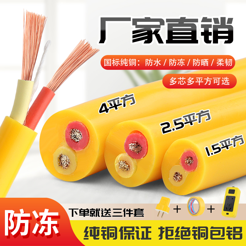 国标纯铜二芯电缆线防冻牛筋电线家用电源软线2.5/4V/6平方护套线