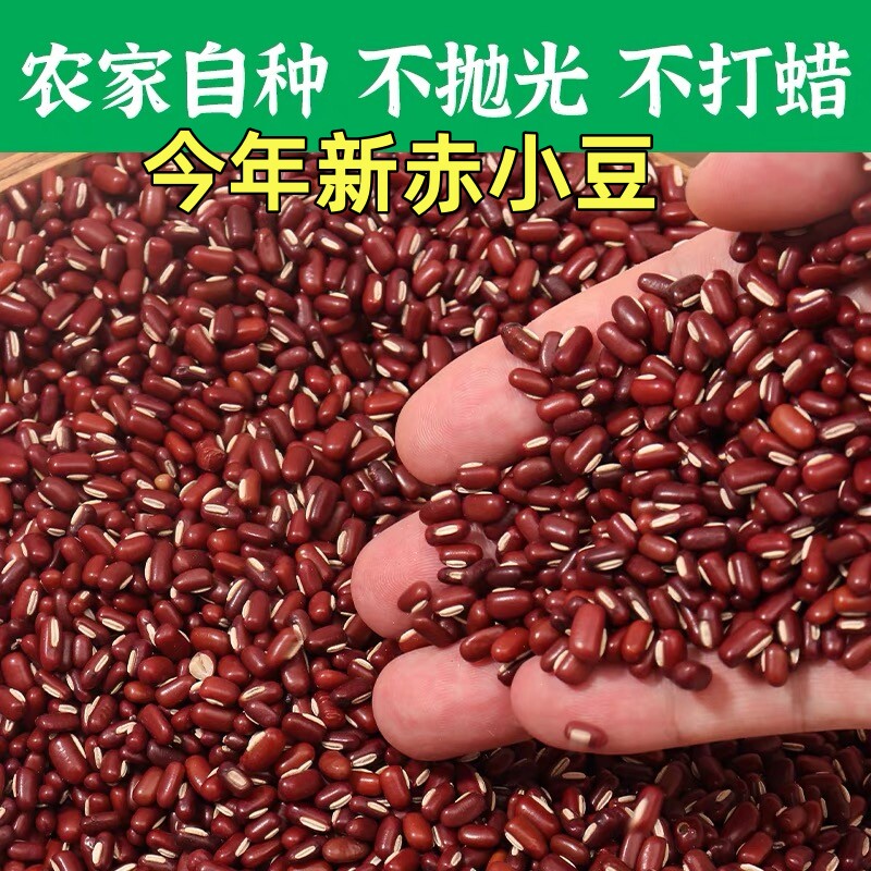 新货赤小豆农家自产长粒赤小豆五