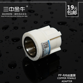25内牙接头 6分管材内螺纹20 三中金牛 PPR内丝直接水管管件配件4