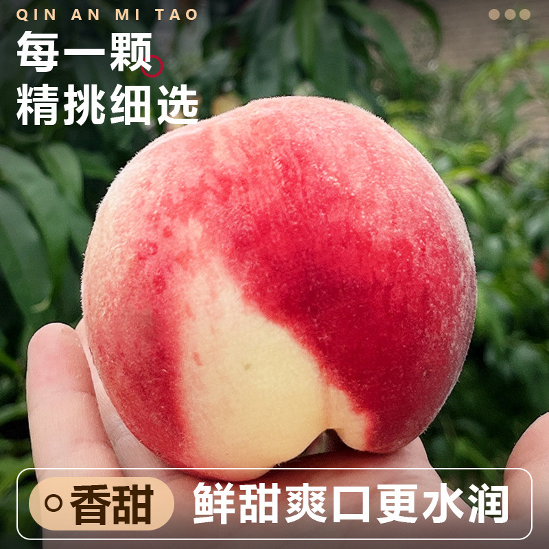 秦安水蜜桃现摘新鲜当季水果整箱甘肃天水北京七号甜脆桃子礼盒装
