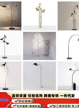 跨境北欧简约黑色立灯落地灯现代个性卧室床头餐厅客厅沙发旁灯具